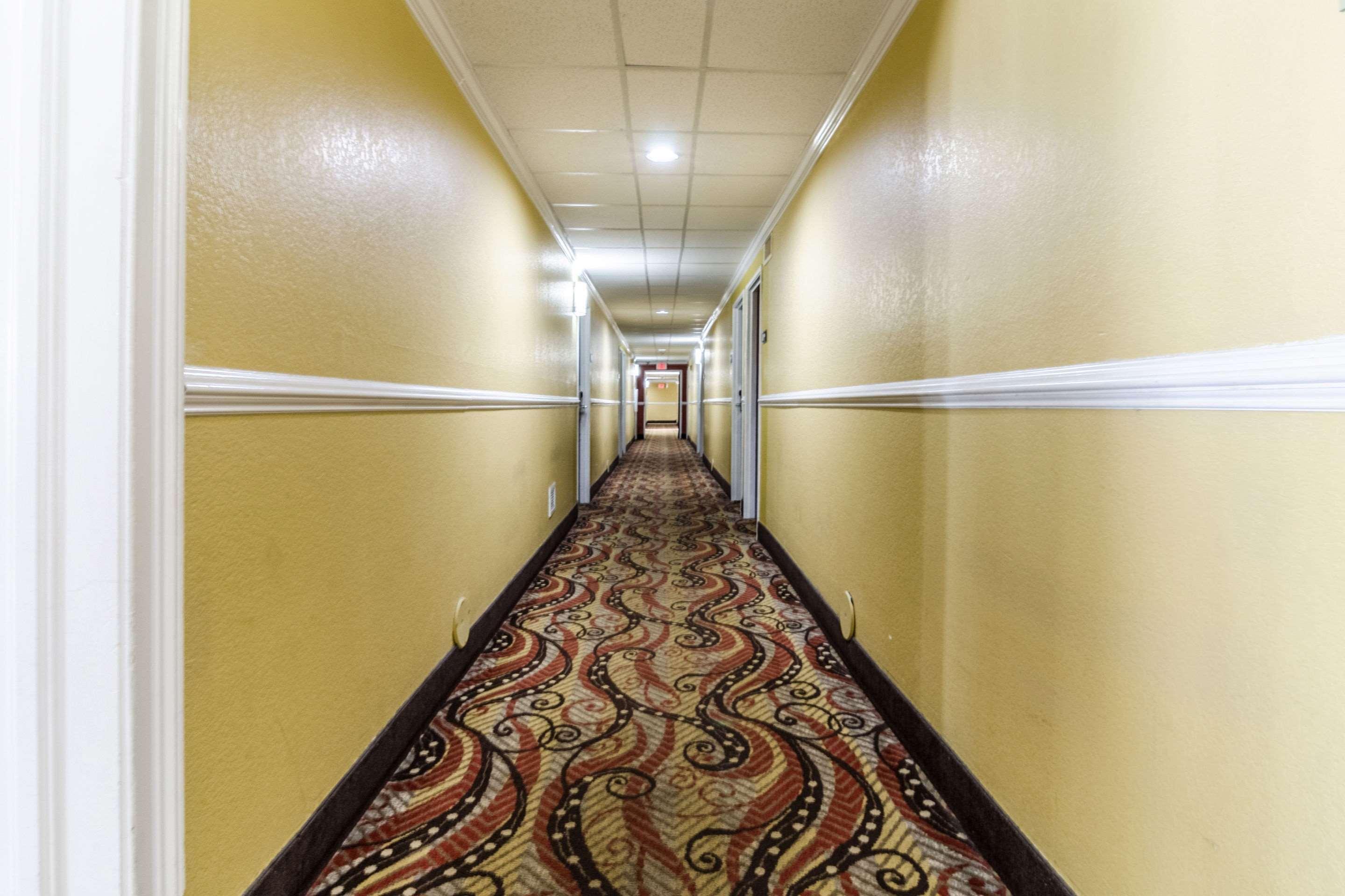 Rodeway Inn & Suites Jacksonville Near Camp Lejeune Ngoại thất bức ảnh